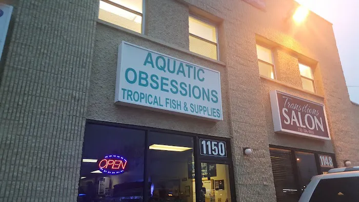 Aquatic Obsessions Picture 8
