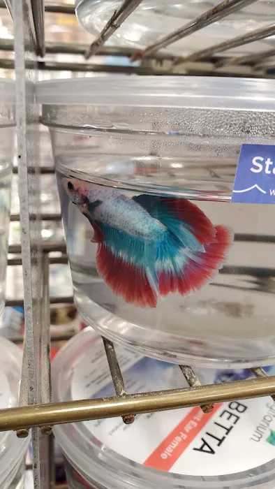 Petco Picture 4