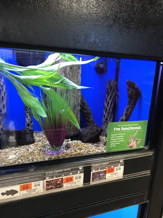 Petco Picture 9