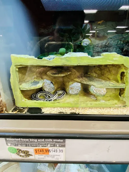 Petco Picture 7