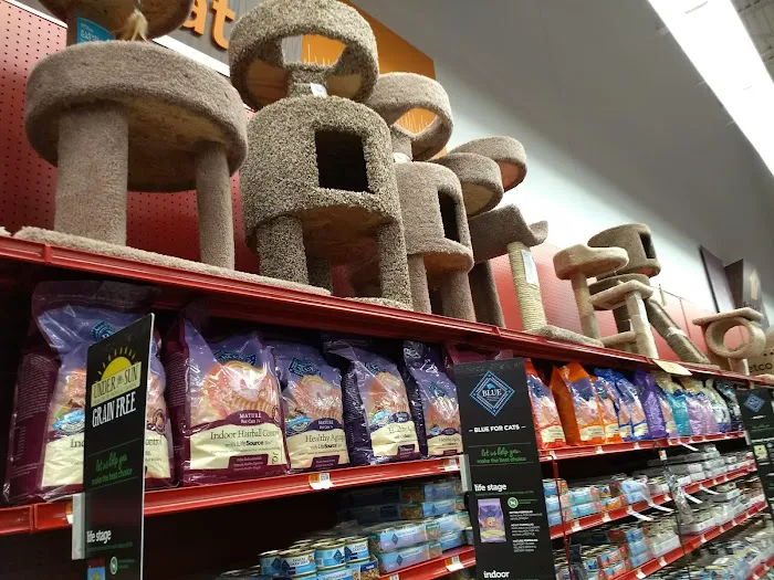 Petco Picture 8