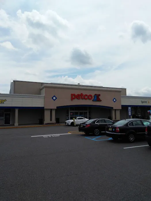 Petco Picture 7