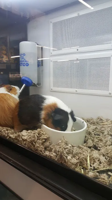 Petco Picture 9