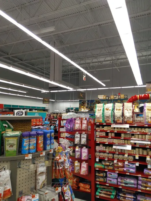 Petco Picture 3