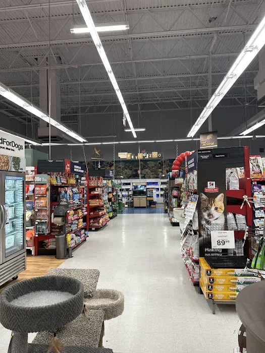 Petco Picture 10