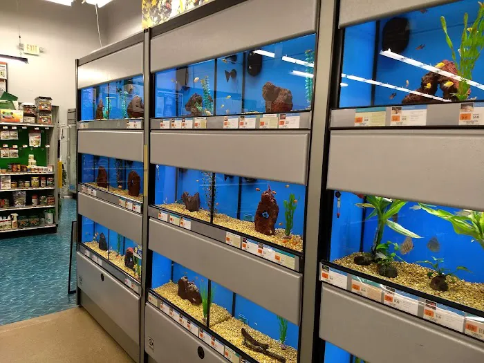 Petco Picture 5