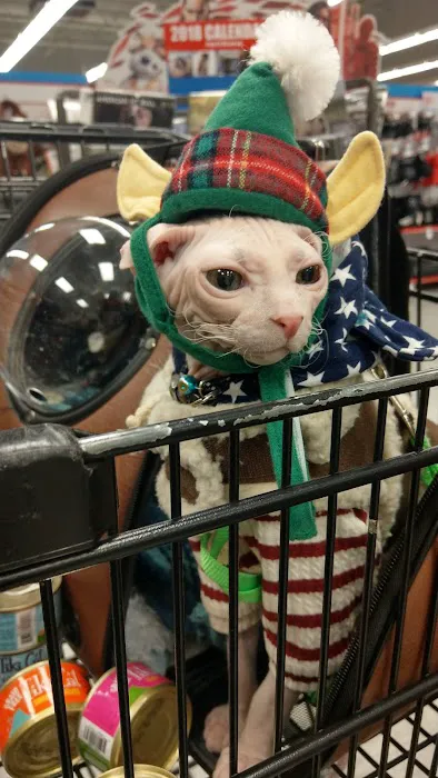 Petco Picture 1