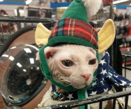 Petco