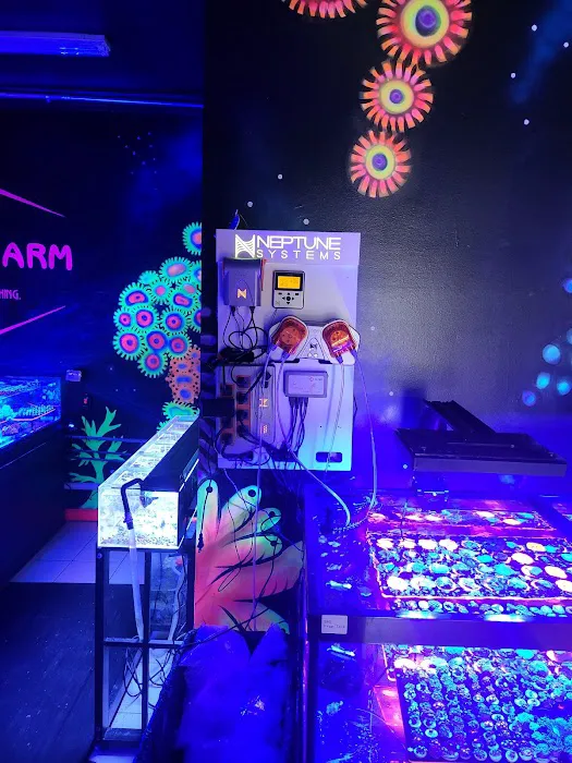 Frank's Frag Farm Picture 10