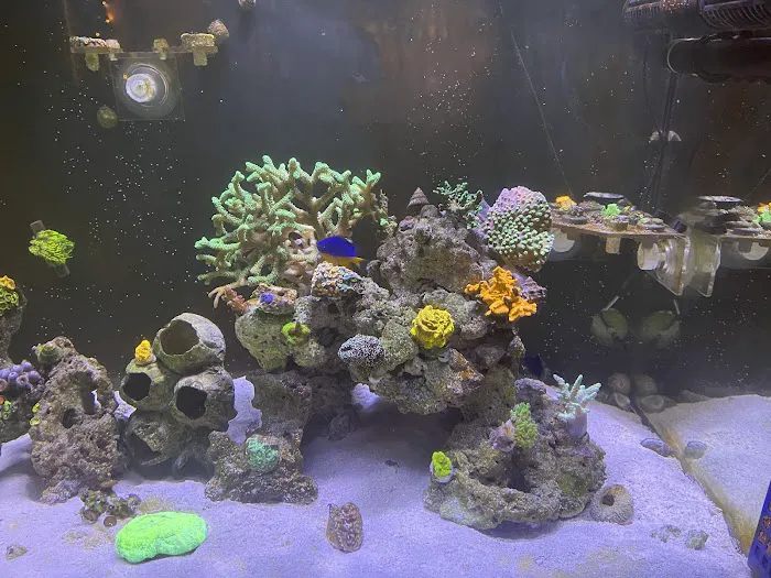 Frank's Frag Farm Picture 1