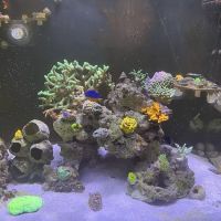 Frank's Frag Farm ico