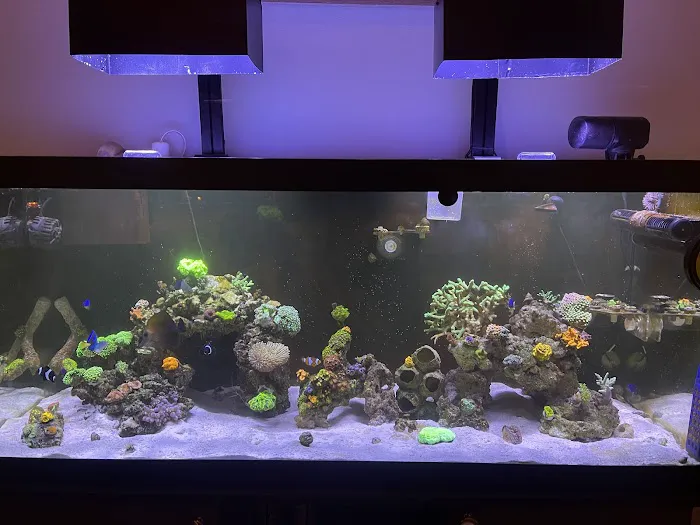 Frank's Frag Farm Picture 3