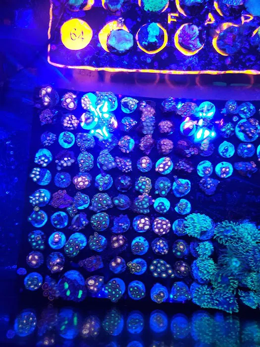 Frank's Frag Farm Picture 6