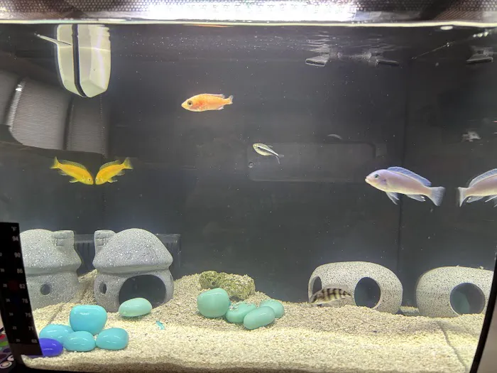 Frank's Frag Farm Picture 4