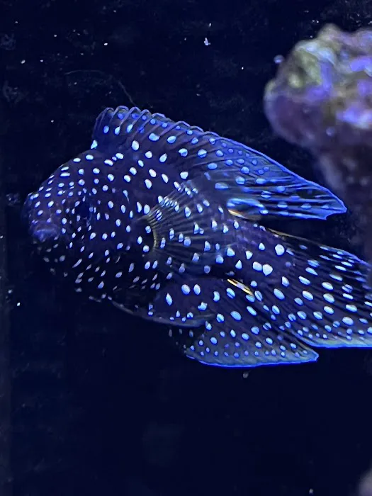 Frank's Frag Farm Picture 7