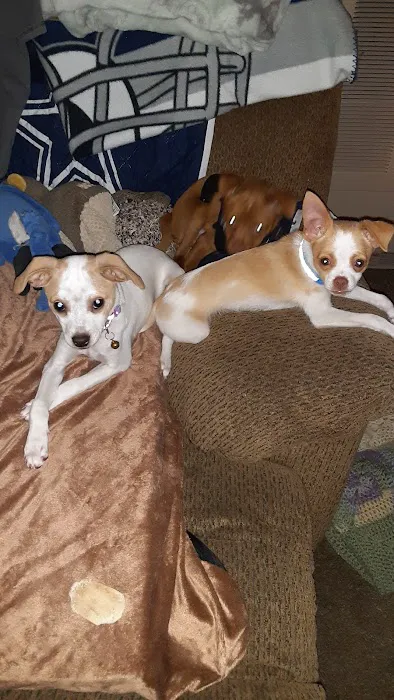 Arrowview Animal Hospital Picture 7