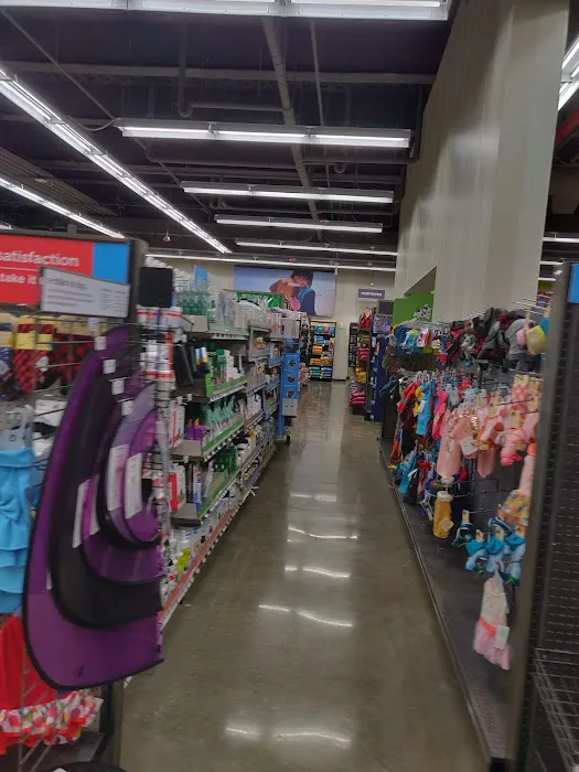 Petco Picture 8