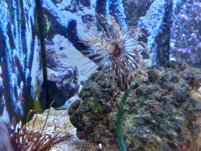 Petco Picture 7