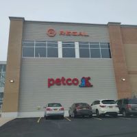 Petco ico