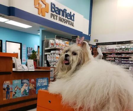 Banfield Pet Hospital