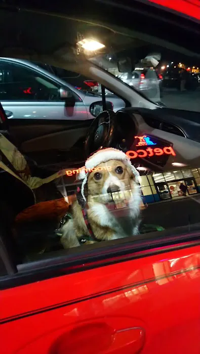 Petco Picture 9