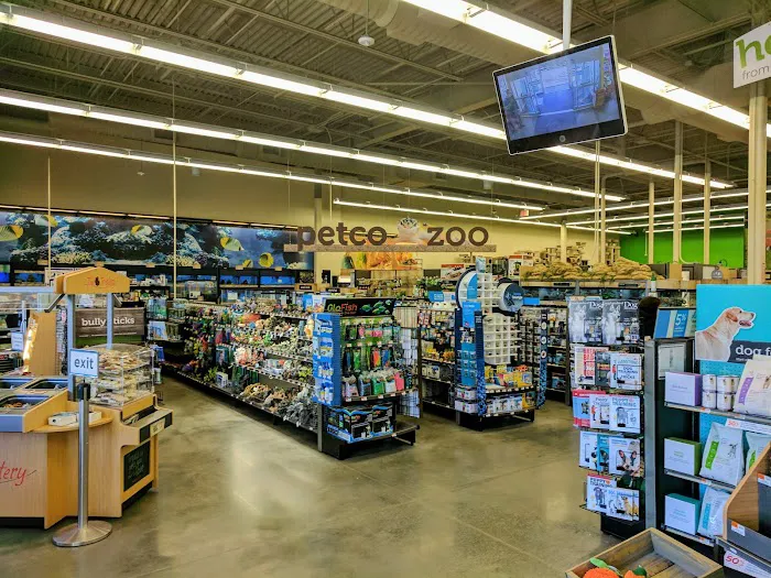 Petco Picture 2