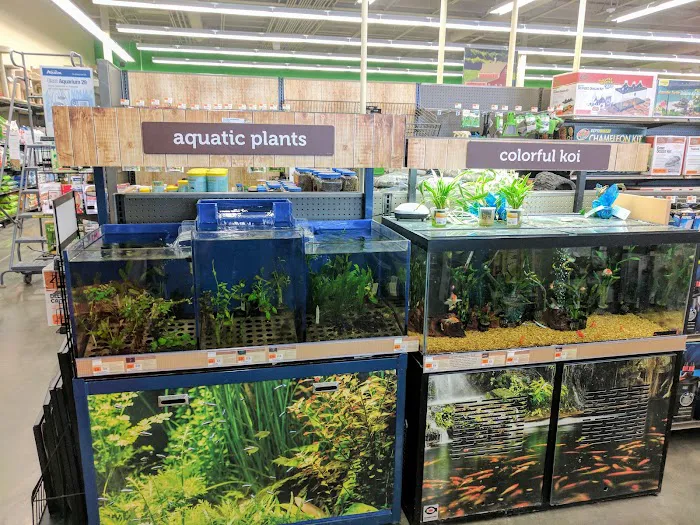 Petco Picture 5
