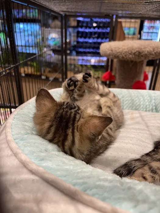 PetCenter Picture 4