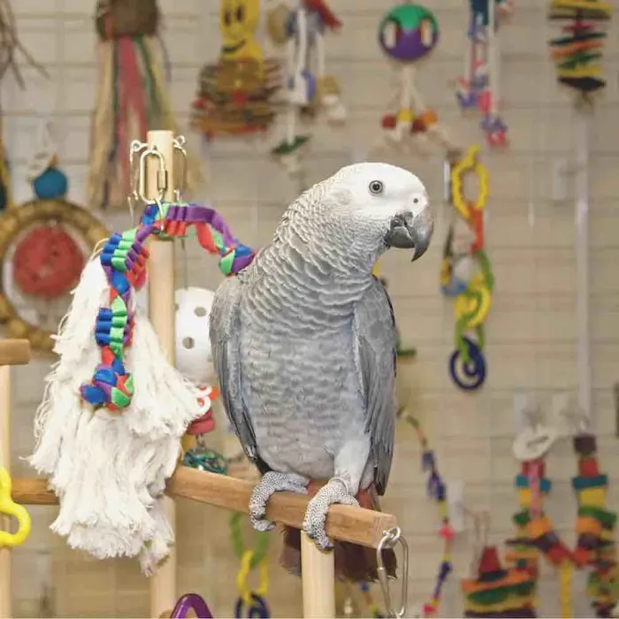 PetCenter Picture 10