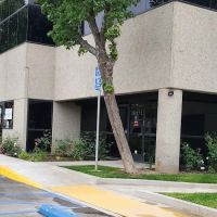 Veterinary Integrative Center ico