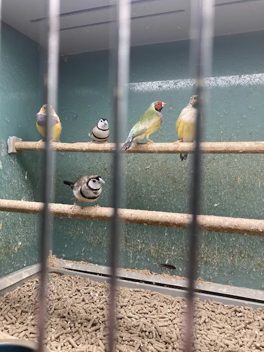 Major League Exotic Pets Picture 2