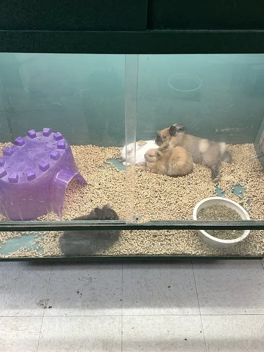 Major League Exotic Pets Picture 6