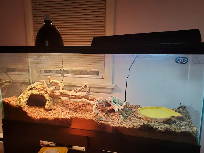 Major League Exotic Pets Picture 9