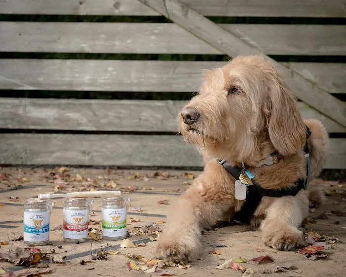 Gentle Earth Pets Picture 5
