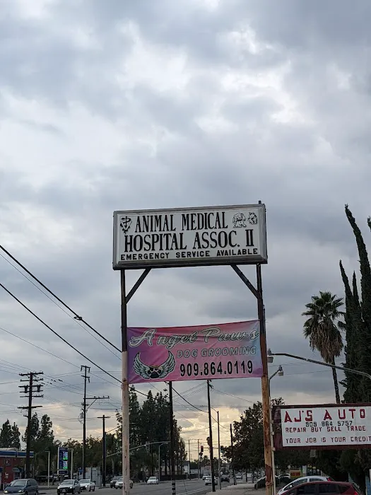 Animal Medical Hospital Association Picture 3