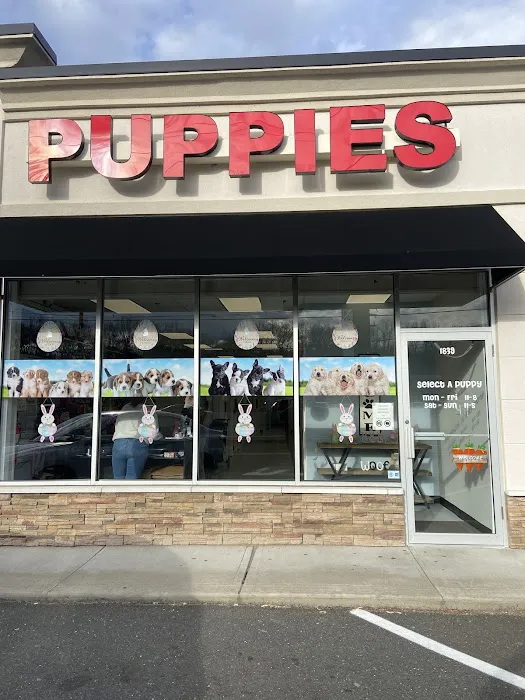 Select A Puppy, Inc. Picture 2
