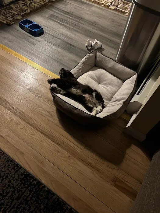 Select A Puppy, Inc. Picture 8