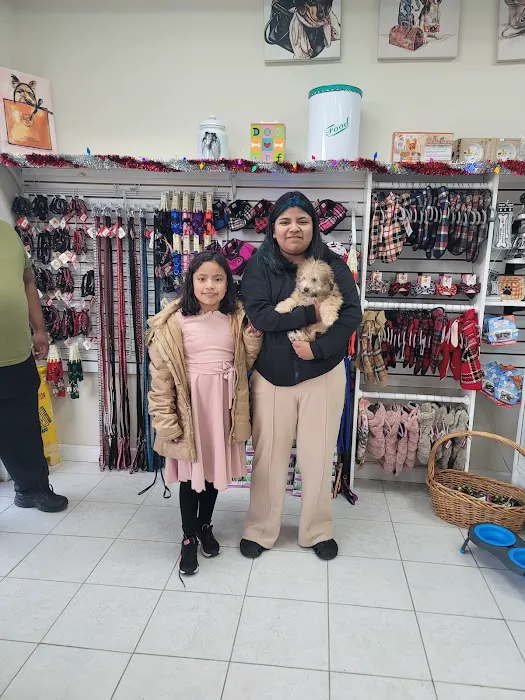 The Pet Shoppe Picture 1