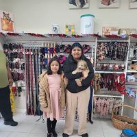 The Pet Shoppe ico