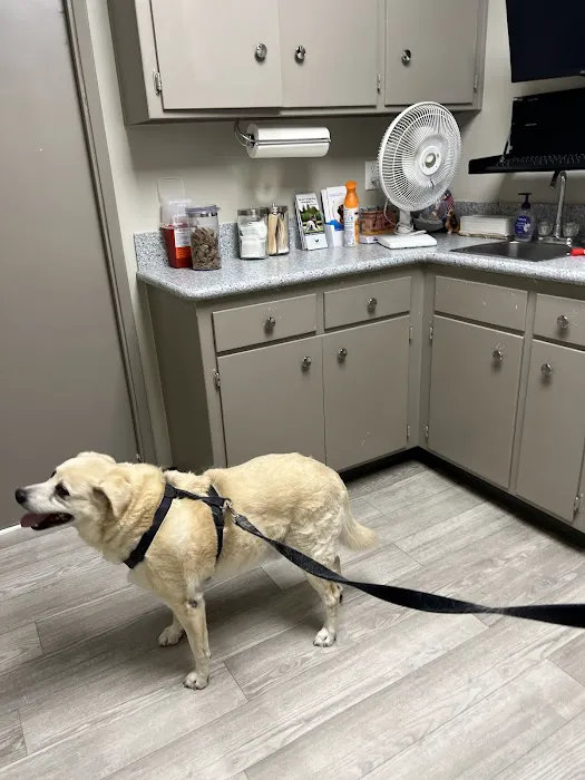 Woodcrest Veterinary Clinic Picture 3