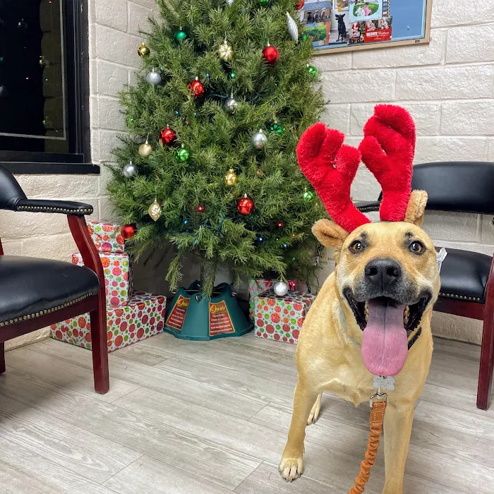 Woodcrest Veterinary Clinic Picture 9