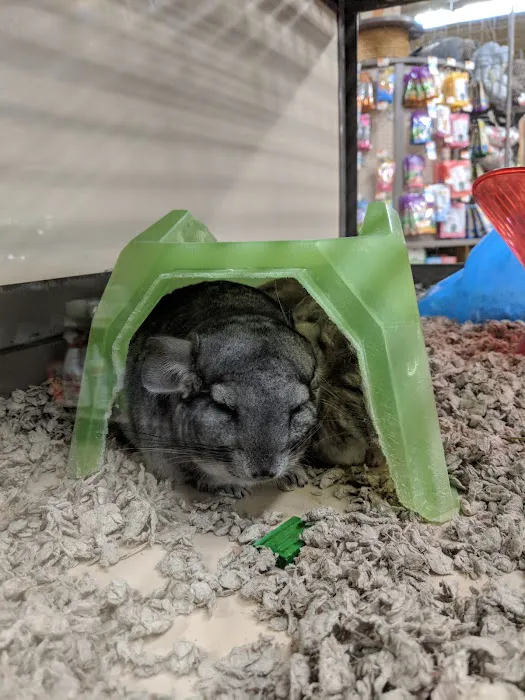 Petco Picture 1