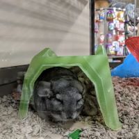 Petco ico