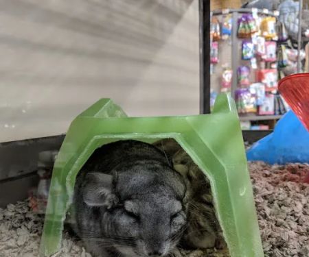 Petco