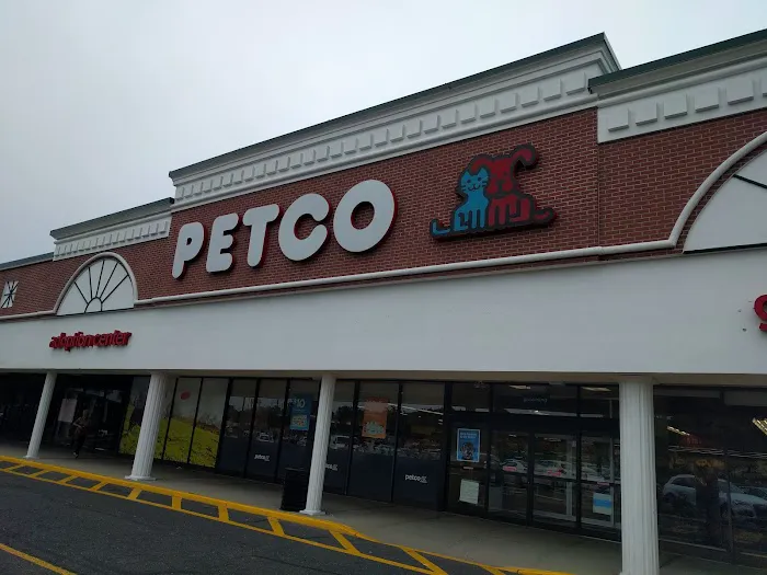 Petco Picture 8