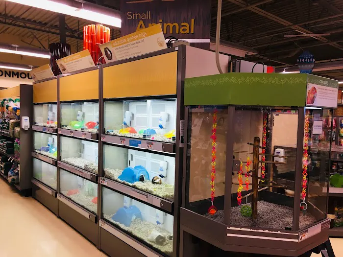 Petco Picture 4