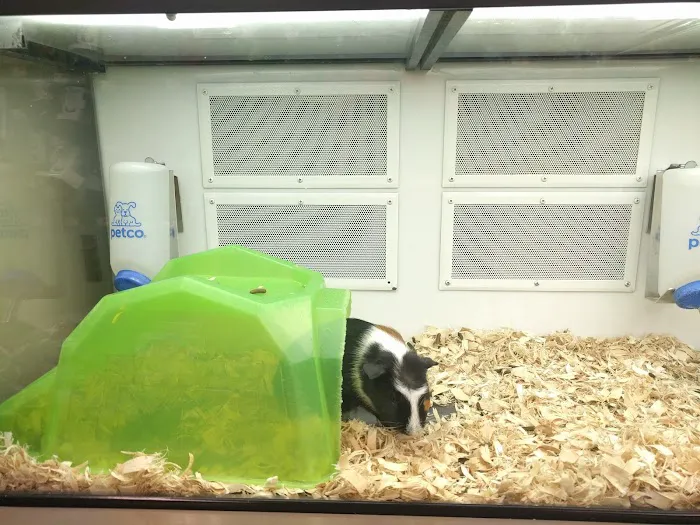 Petco Picture 10