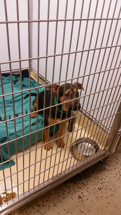 Petco Picture 3