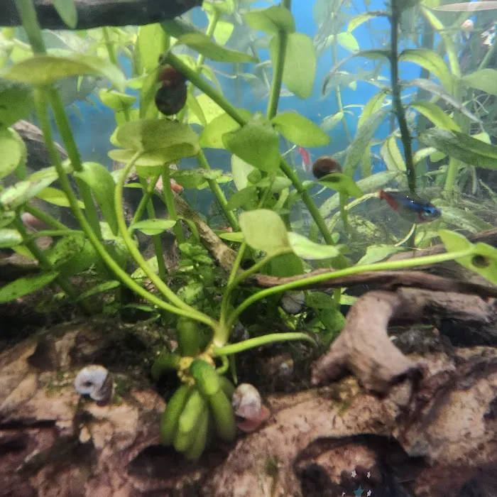 Overboard Aquatics Picture 1