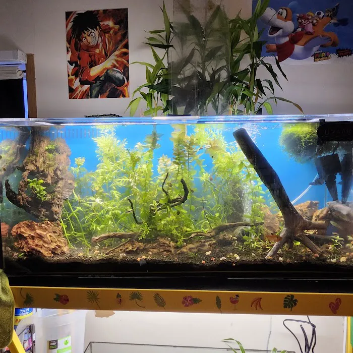 Overboard Aquatics Picture 3